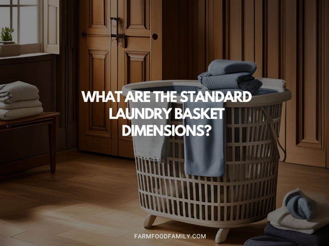 What are the Standard Laundry Basket Dimensions?
