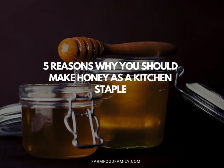 5 Reasons Why You Should Make Honey As A Kitchen Staple