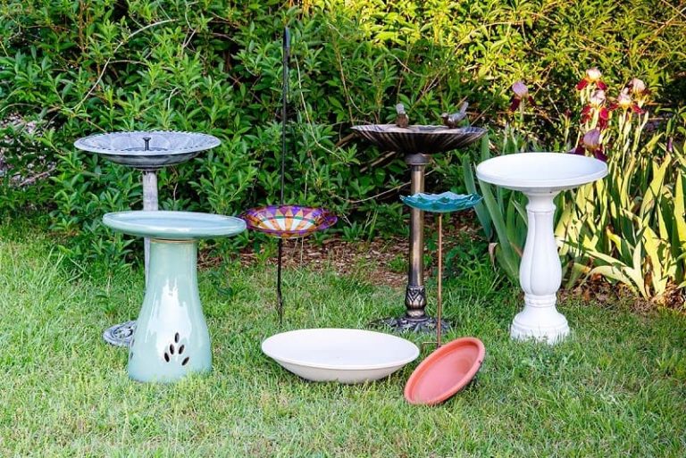 Bird Bath Buying Guide Create a Oasis for Your Feathered Friends