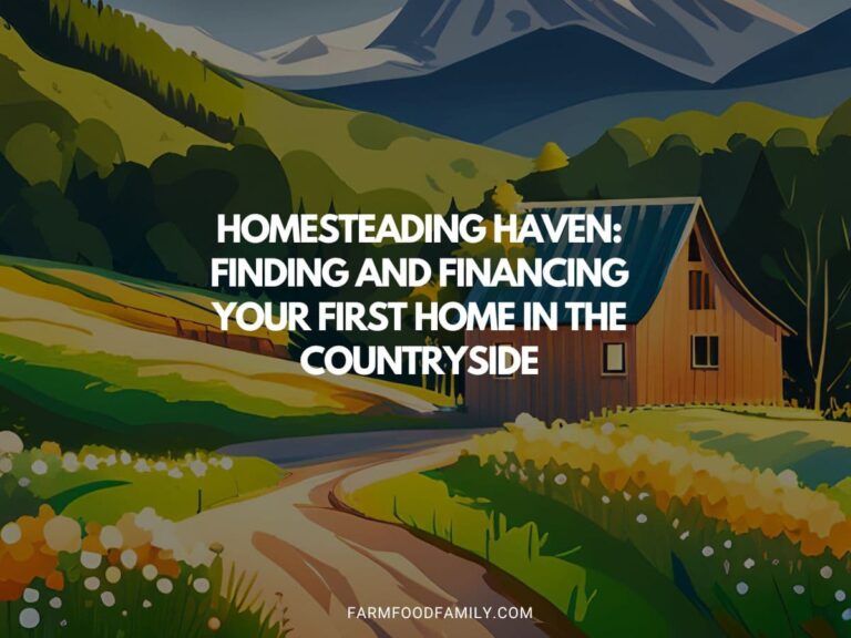 Homesteading Haven: Finding and Financing Your First Home in the Countryside