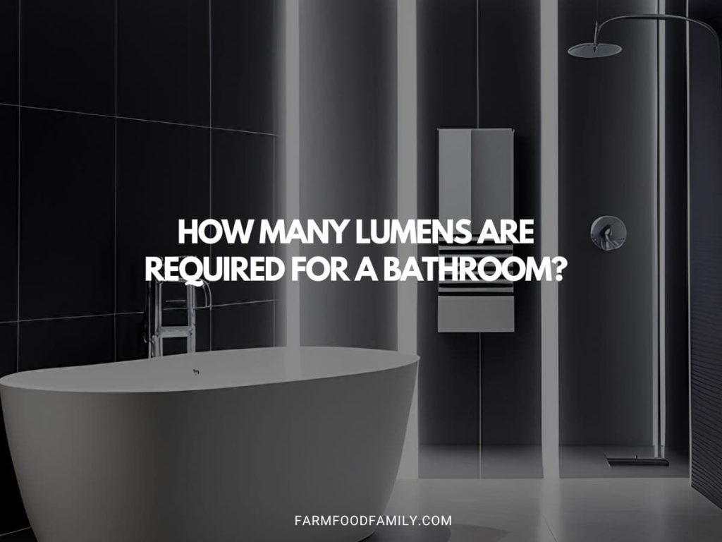 How Many Lumens are Required for a Bathroom? FarmFoodFamily