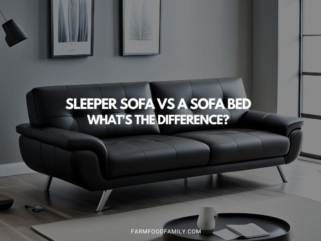 Sleeper Sofa vs a Sofa Bed What's the Difference?