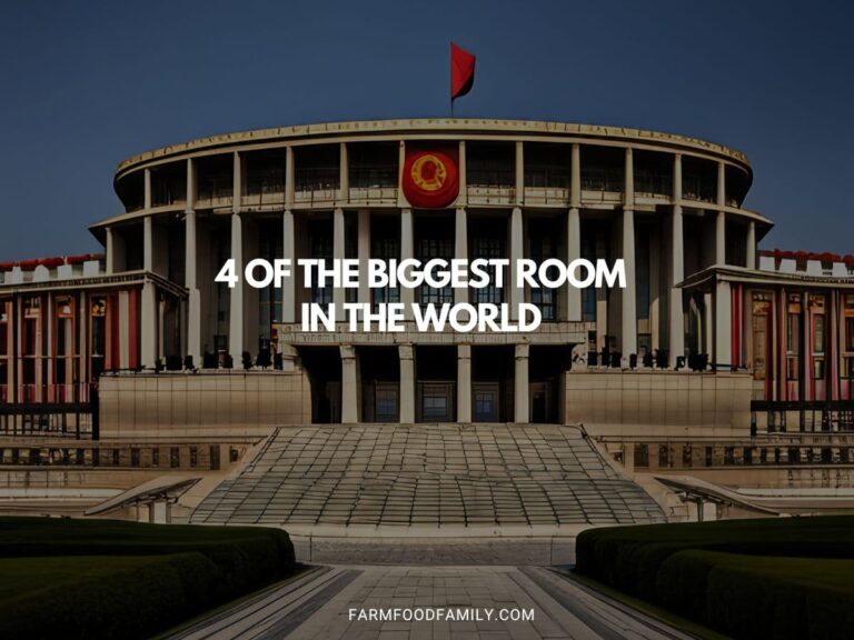 4 of The Biggest Room in the World