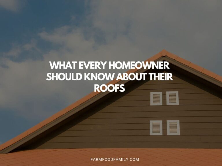 What Every Homeowner Should Know About Their Roofs