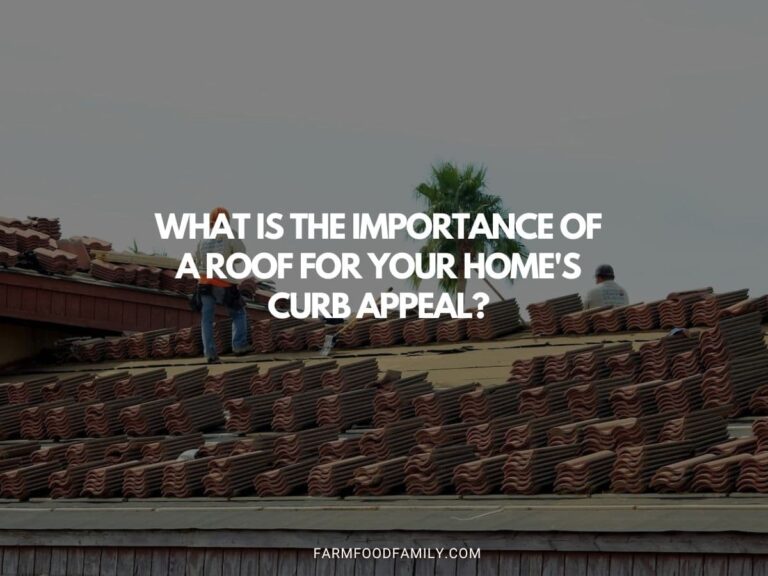 What is the Importance of a Roof for Your Home’s Curb Appeal?
