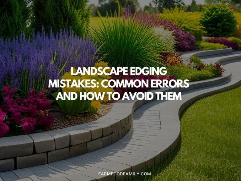 Landscape Edging Mistakes: Common Errors and How to Avoid Them