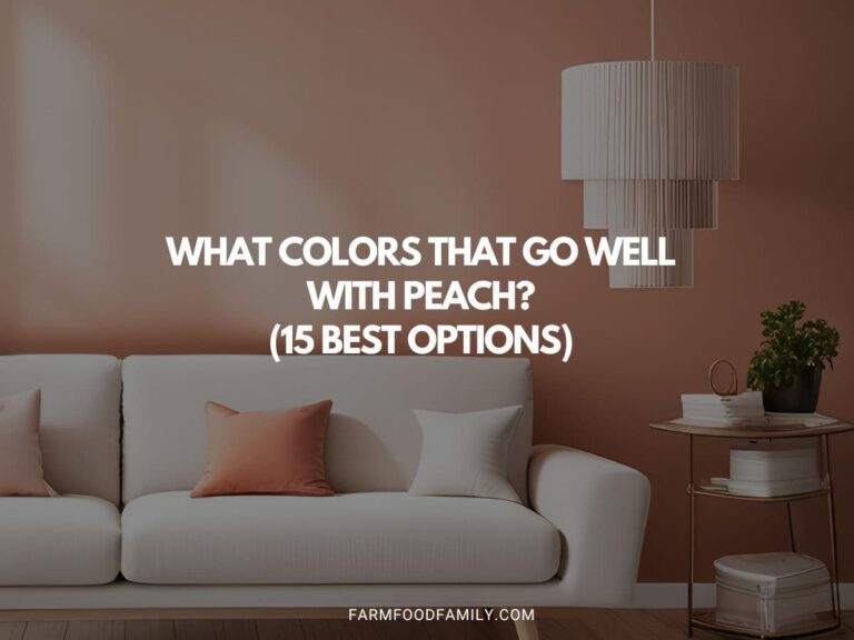 15 Best Paint Colors That Go Well With Peach