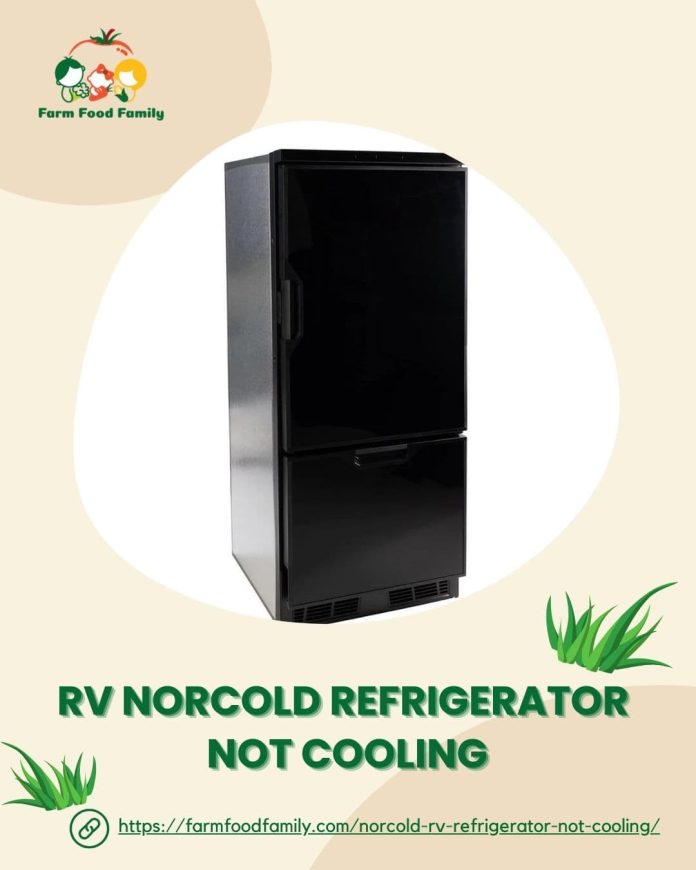 7 Reasons for Norcold RV Refrigerator Not Cooling and How To Fix