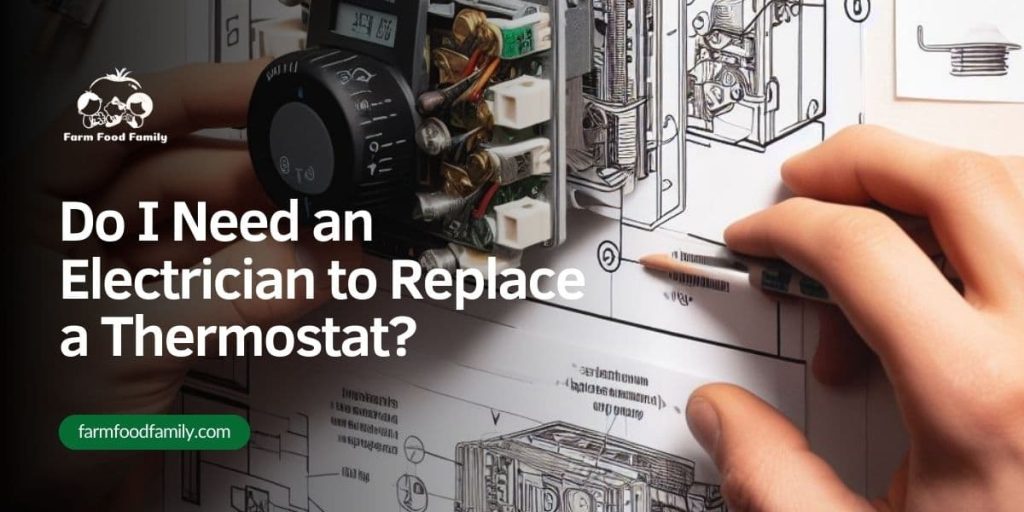 Do I Need an Electrician to Replace a Thermostat? FarmFoodFamily