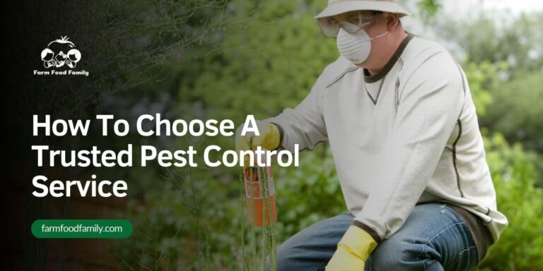 How To Choose A Trusted Pest Control Service