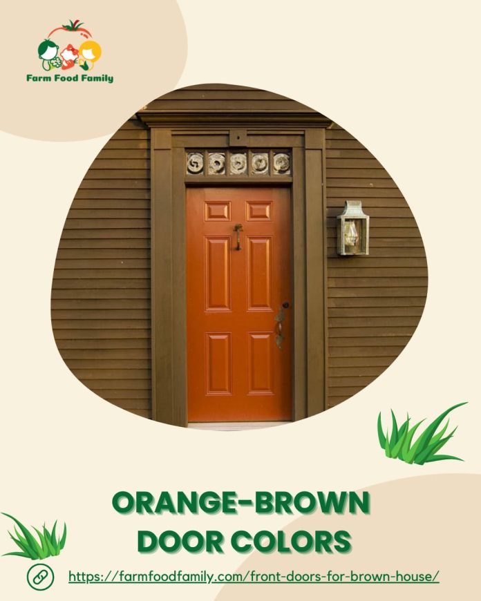 35+ Best Exterior Front Door Colors For Brown Houses (Ideas and Designs