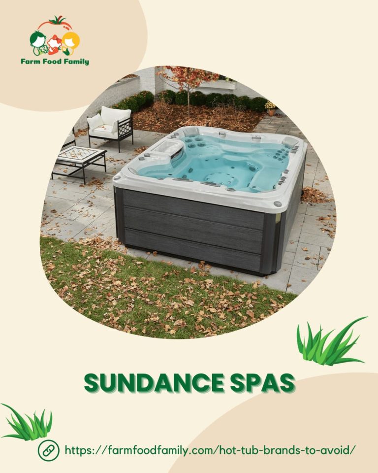 10 Worst Hot Tub Brands To Avoid 2024 (and 5 Most Reliable Alternatives)