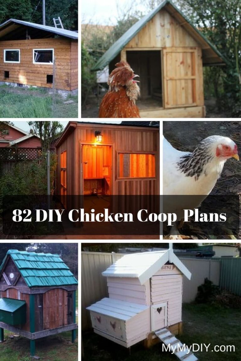Curated visual reference: Gallery Detail: 45 Low Budget DIY Backyard Chicken Coop Ideas With Plans
