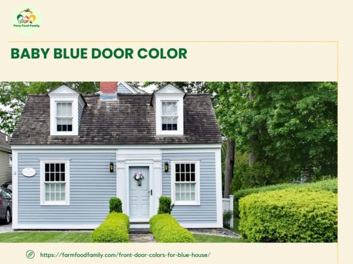 105+ Best Front Door Colors For A Blue House (Designs in 2024)