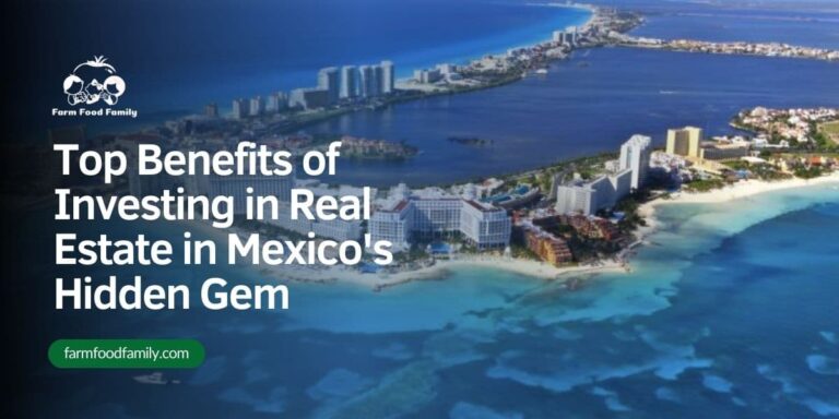 Exploring the Allure of Yucatan: Top Benefits of Investing in Real Estate in Mexico’s Hidden Gem