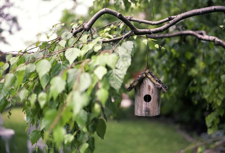 Improve Your Outdoor Space With These Helpful Tips