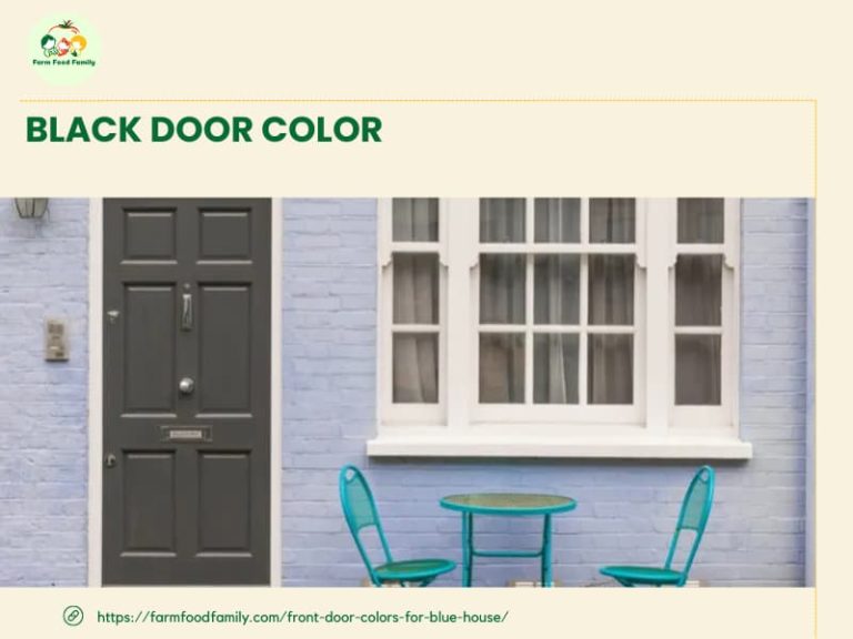 105+ Best Front Door Colors For A Blue House (Designs in 2024)