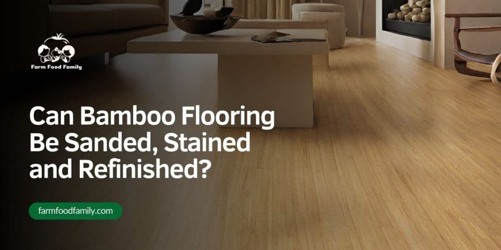 Can Bamboo Flooring Be Sanded and Refinished? [A Complete Guide]
