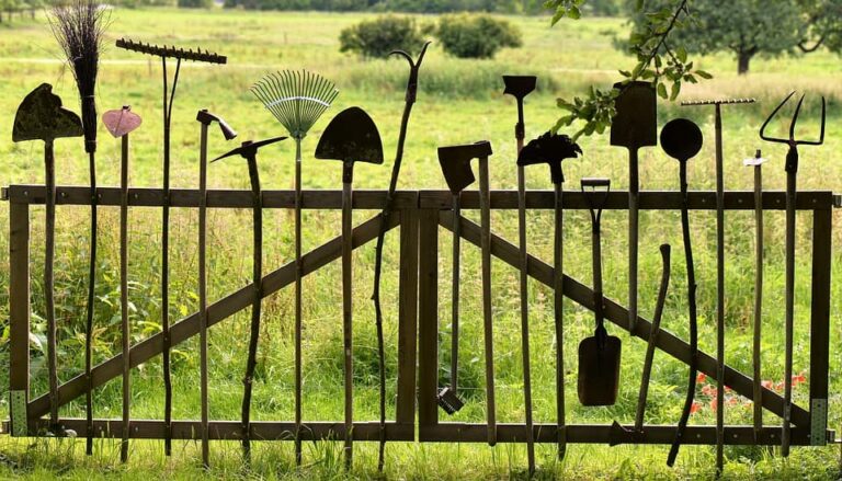 How to Take Proper Care of the Tools You Use to Maintain a Beautiful Garden