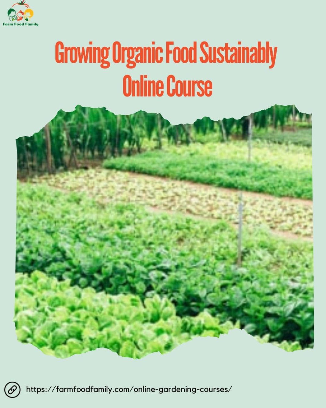 The 14 Best Online Gardening Courses of 2024 FarmFoodFamily