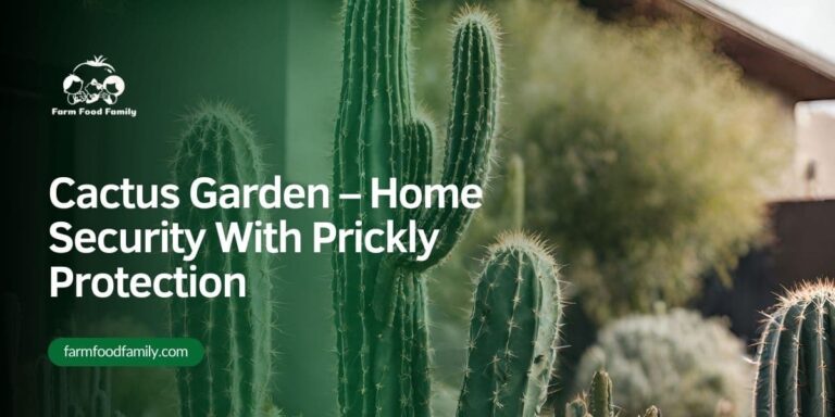 Cactus Garden – Home Security With Prickly Protection