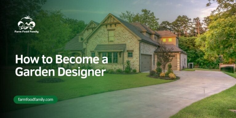 How to Become a Garden Designer