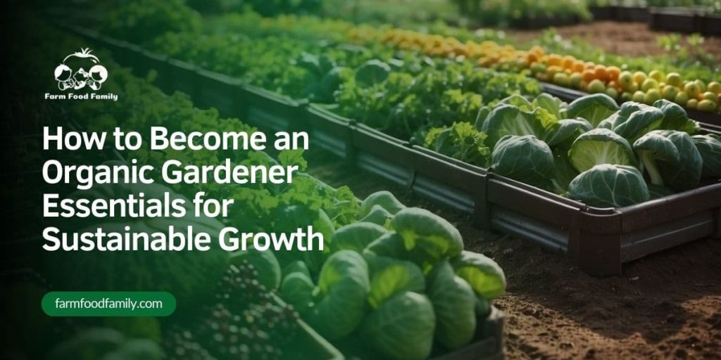 How to an Organic Gardener Essentials for Sustainable Growth FarmFoodFamily