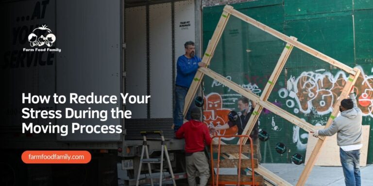 How to Reduce Your Stress During the Moving Process