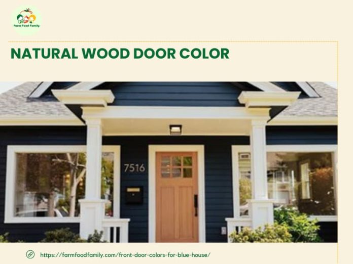 25+ Best Front Door Colors For A Blue House (Designs in 2024)