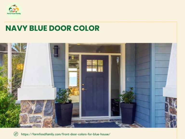 What Color Door Looks Best with a Navy Blue House? Expert Color Guide
