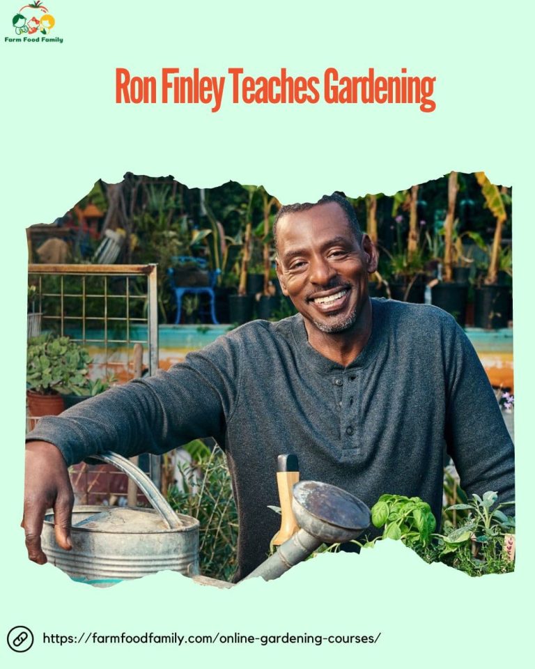 The 14 Best Online Gardening Courses of 2024 FarmFoodFamily