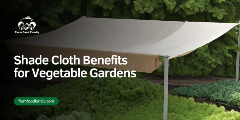 Shade Cloth Benefits for Vegetable Gardens