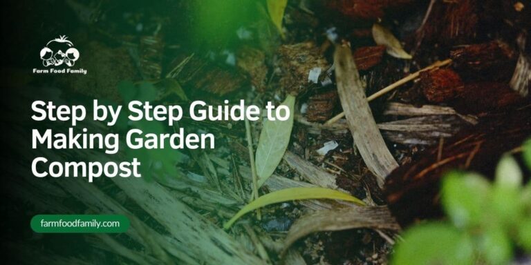 Step by Step Guide to Making Garden Compost: How to Turn Organic Waste Into Valuable Soil Improvement Material