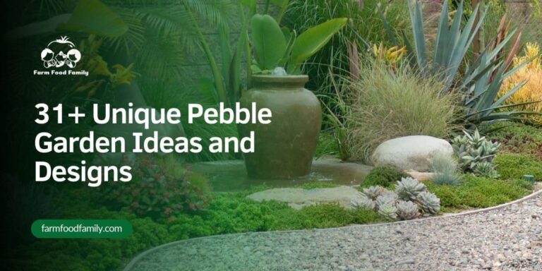 31+ Unique Pebble Garden Ideas and Designs (2026)