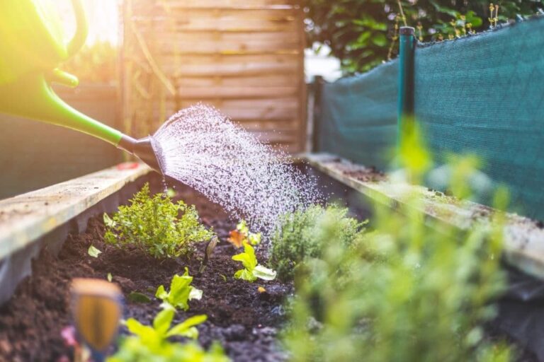 Top Tips for Your Summer Garden