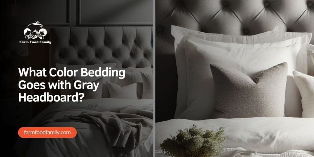 What Color Bedding Goes with Gray Headboard? Expert Tips