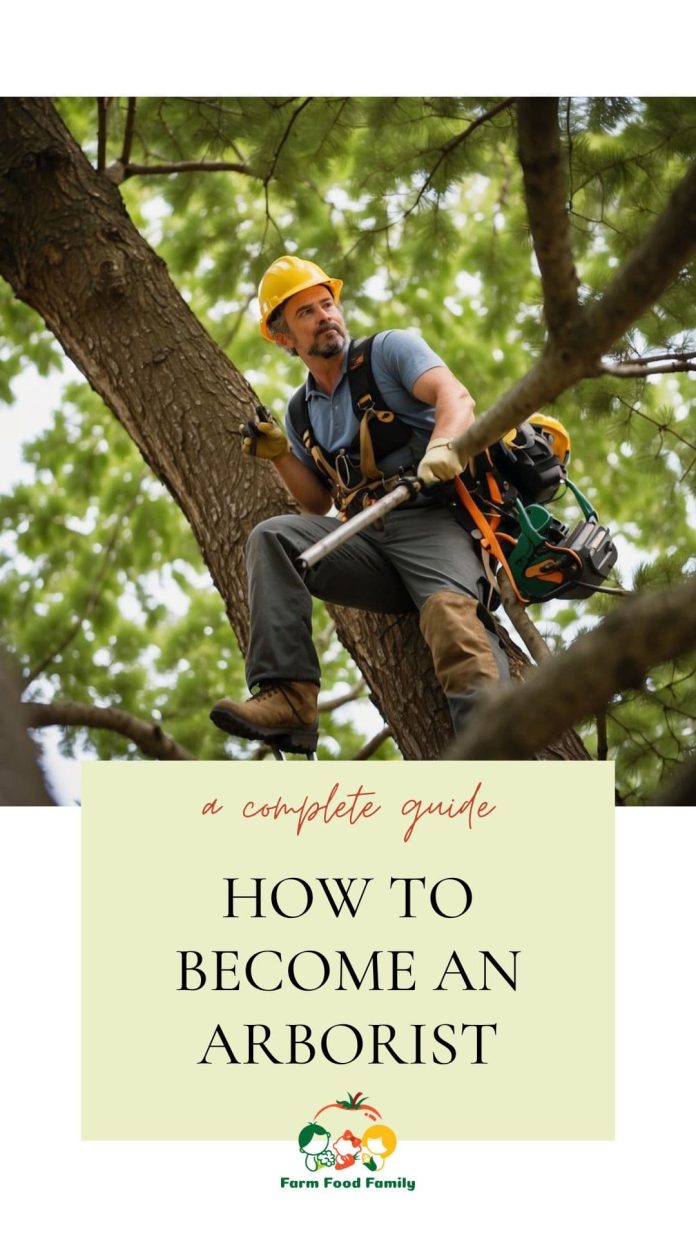 How to an Arborist Your Guide to a Career in Tree Care FarmFoodFamily