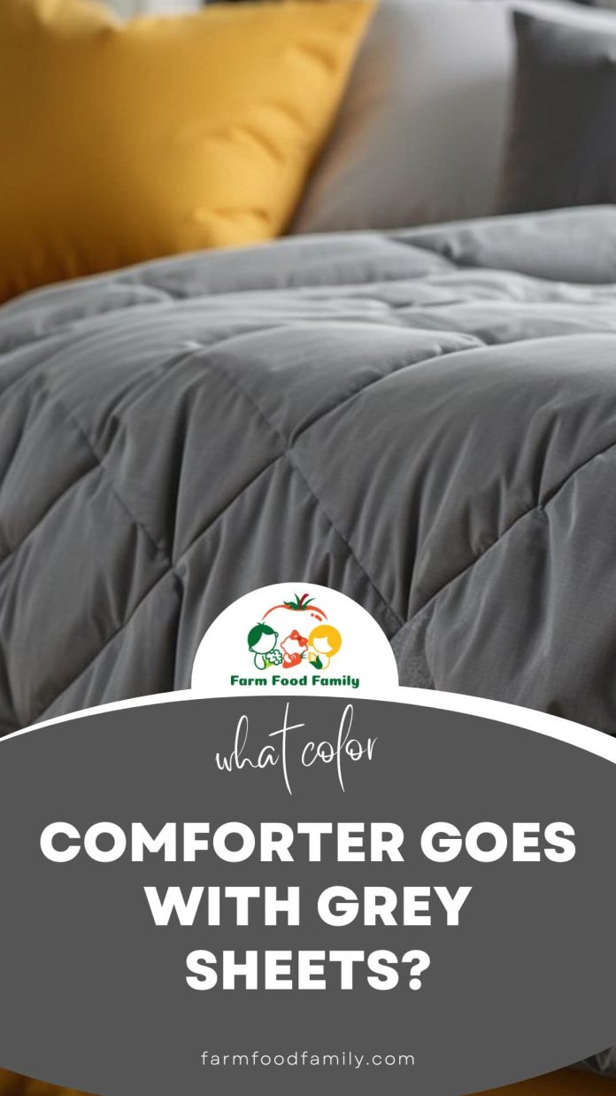 What Color Comforter Goes with Grey Sheets? (20 Best Ideas)