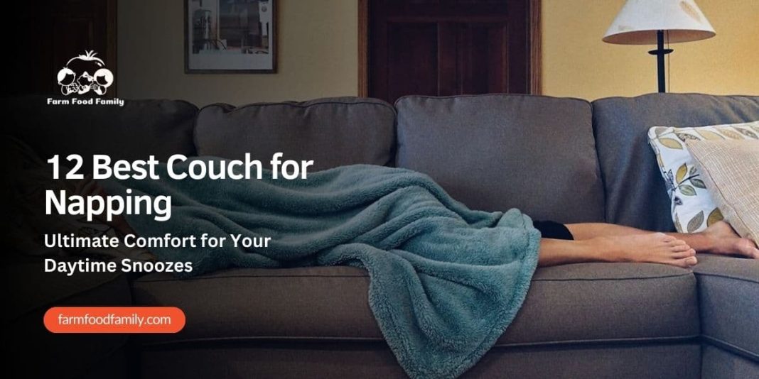 12 Best Couch for Napping (2024) Ultimate Comfort for Your Daytime Snoozes