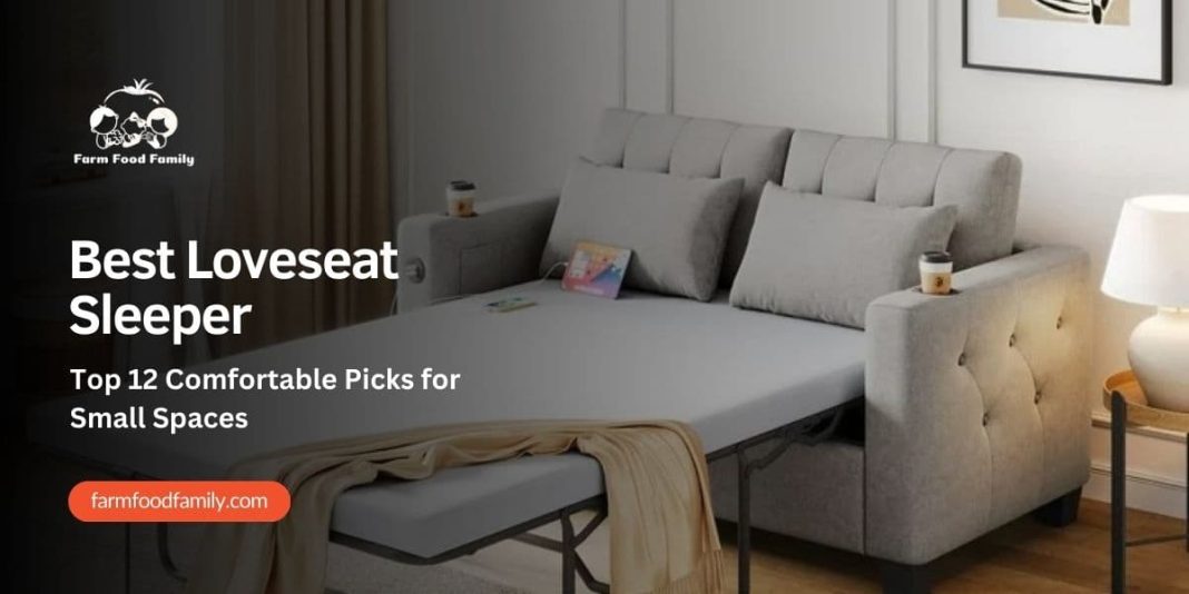 Best Loveseat Sleeper Top 12 Comfortable Picks for Small Spaces (2024)