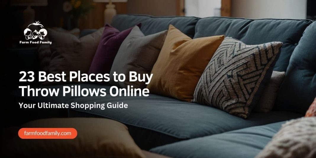 23 Best Places to Buy Throw Pillows Online (2024)