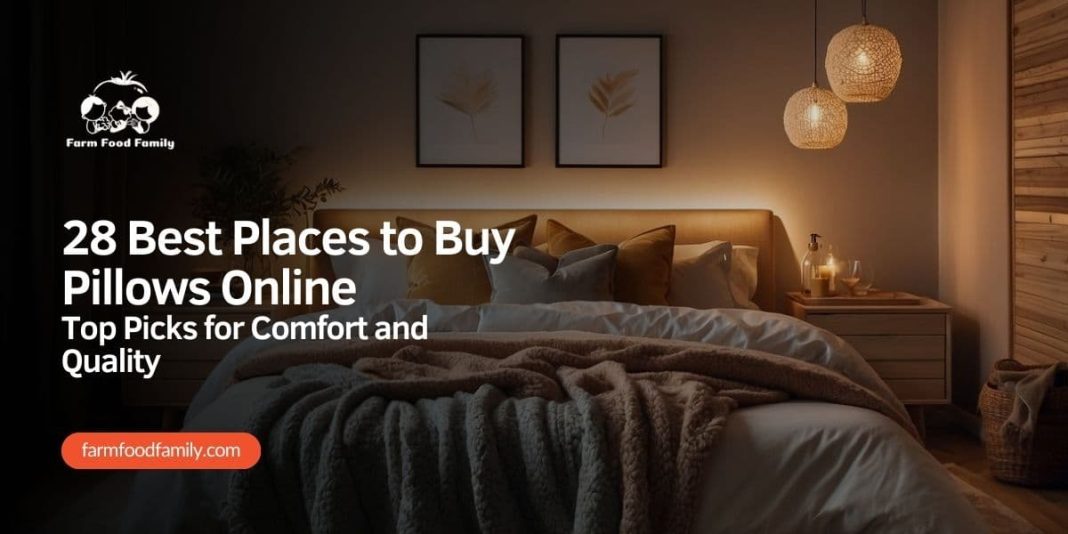 Best Places to Buy Pillows Top 28 Online Stores in 2024