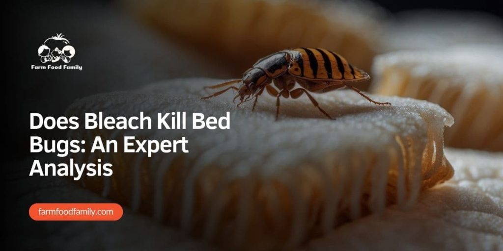 Does Bleach Kill Bed Bugs An Expert Analysis FarmFoodFamily