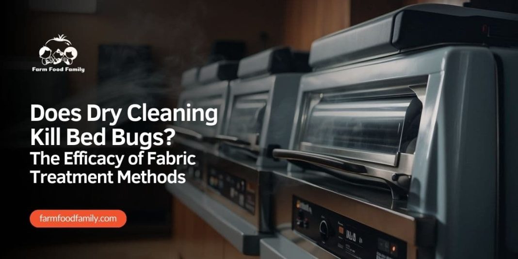 Does Dry Cleaning Kill Bed Bugs The Efficacy of Fabric Treatment Methods