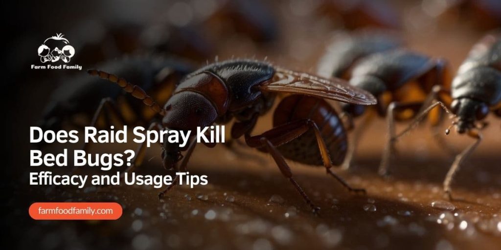 Does Raid Spray Kill Bed Bugs Efficacy and Usage Tips (2024)