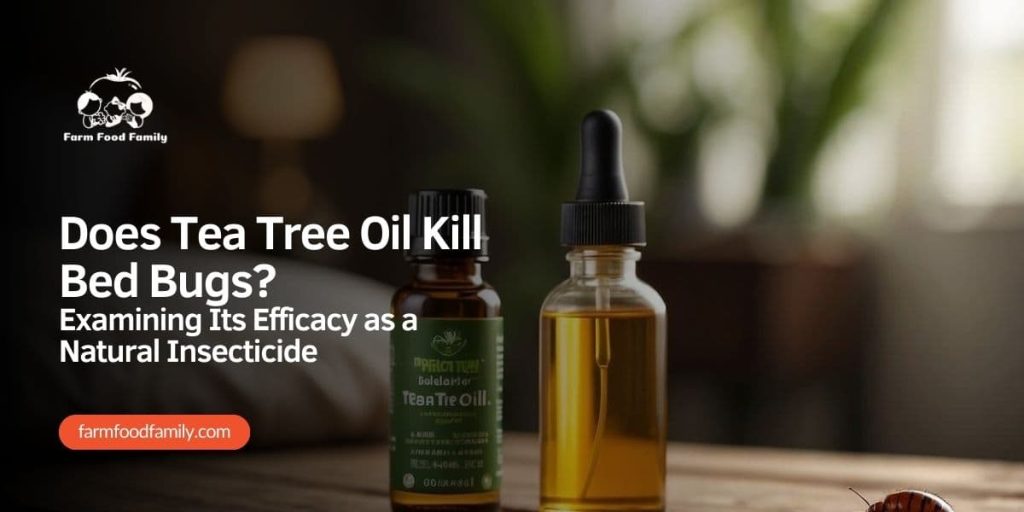 Does Tea Tree Oil Kill Bed Bugs Examining Its Efficacy as a Natural
