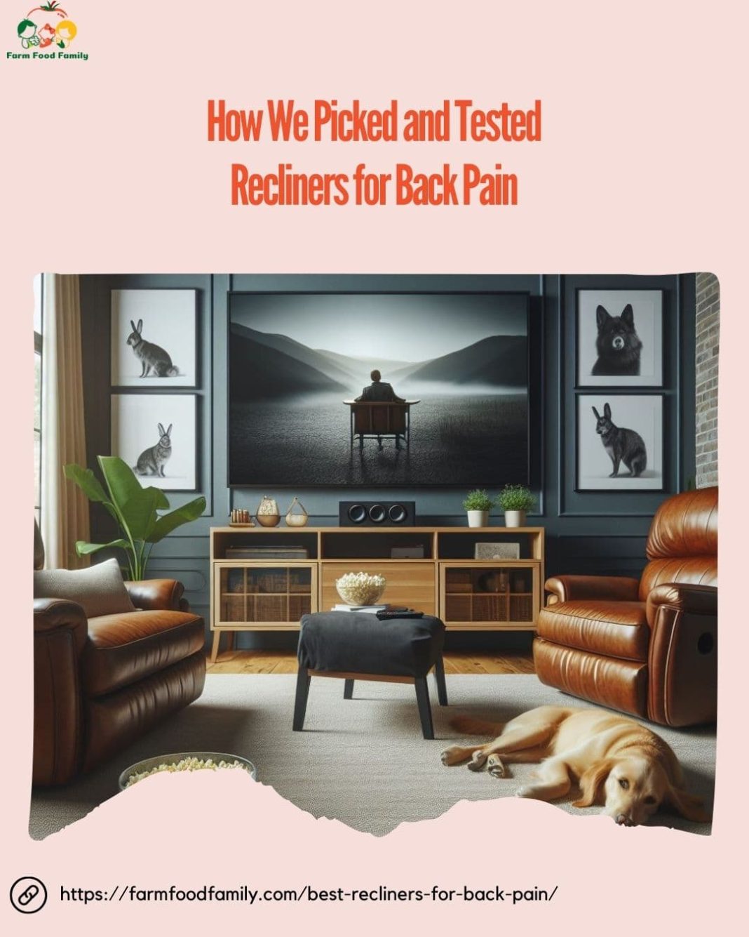 Best Recliners for Back Pain Top 12 Picks for Ultimate Relief (2024)