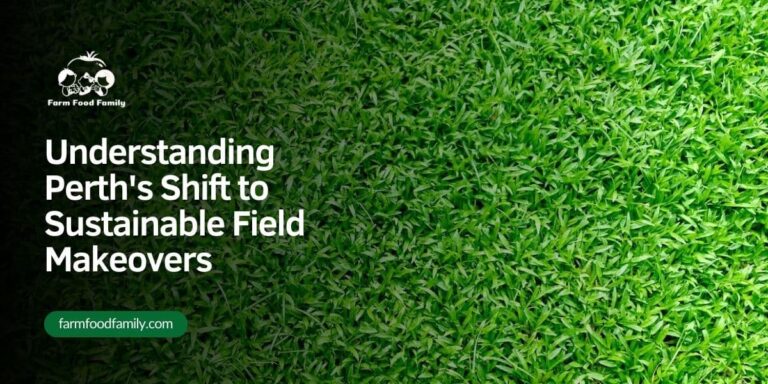 Understanding Perth’s Shift to Sustainable Field Makeovers
