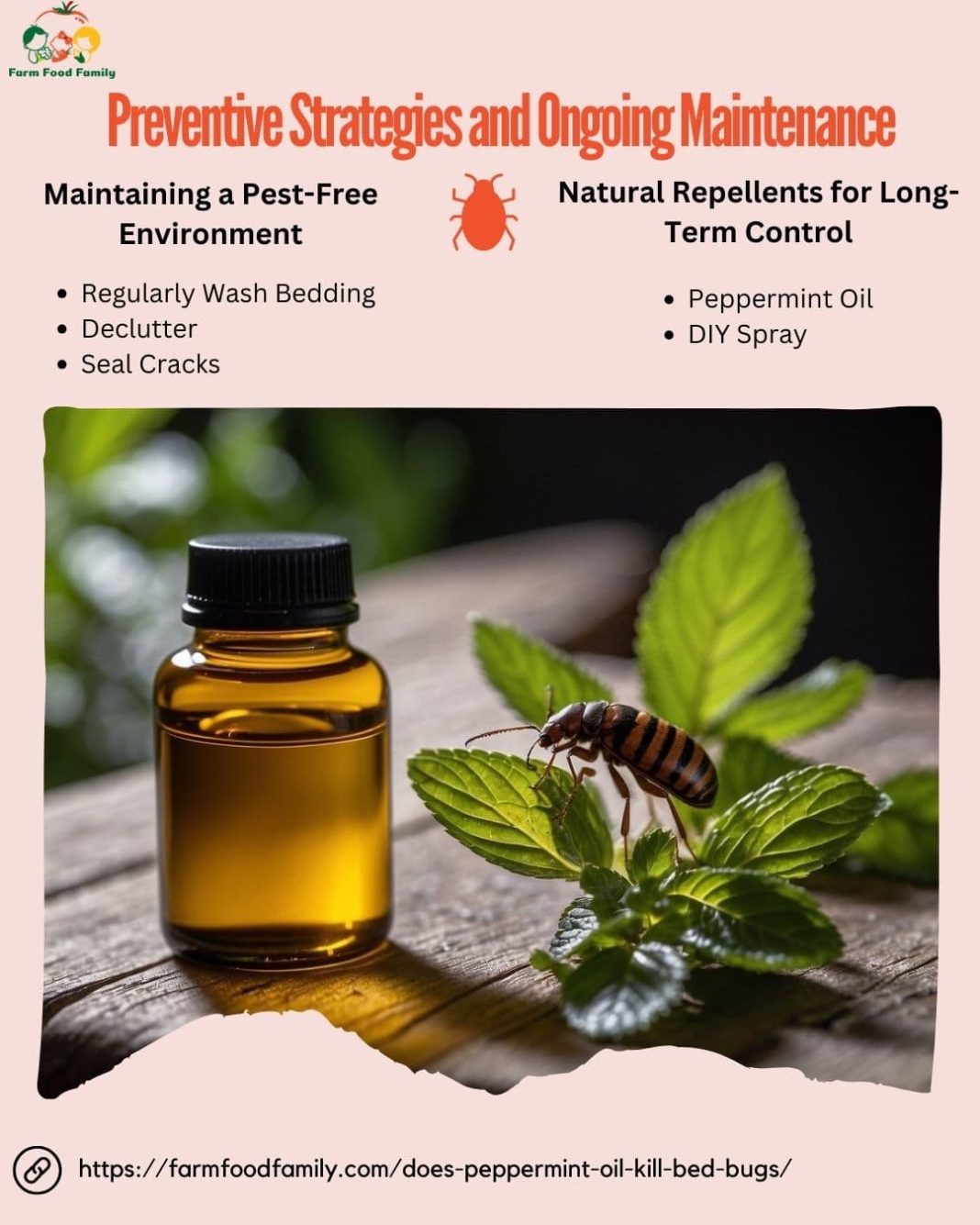 Does Peppermint Oil Kill Bed Bugs? (2024) FarmFoodFamily