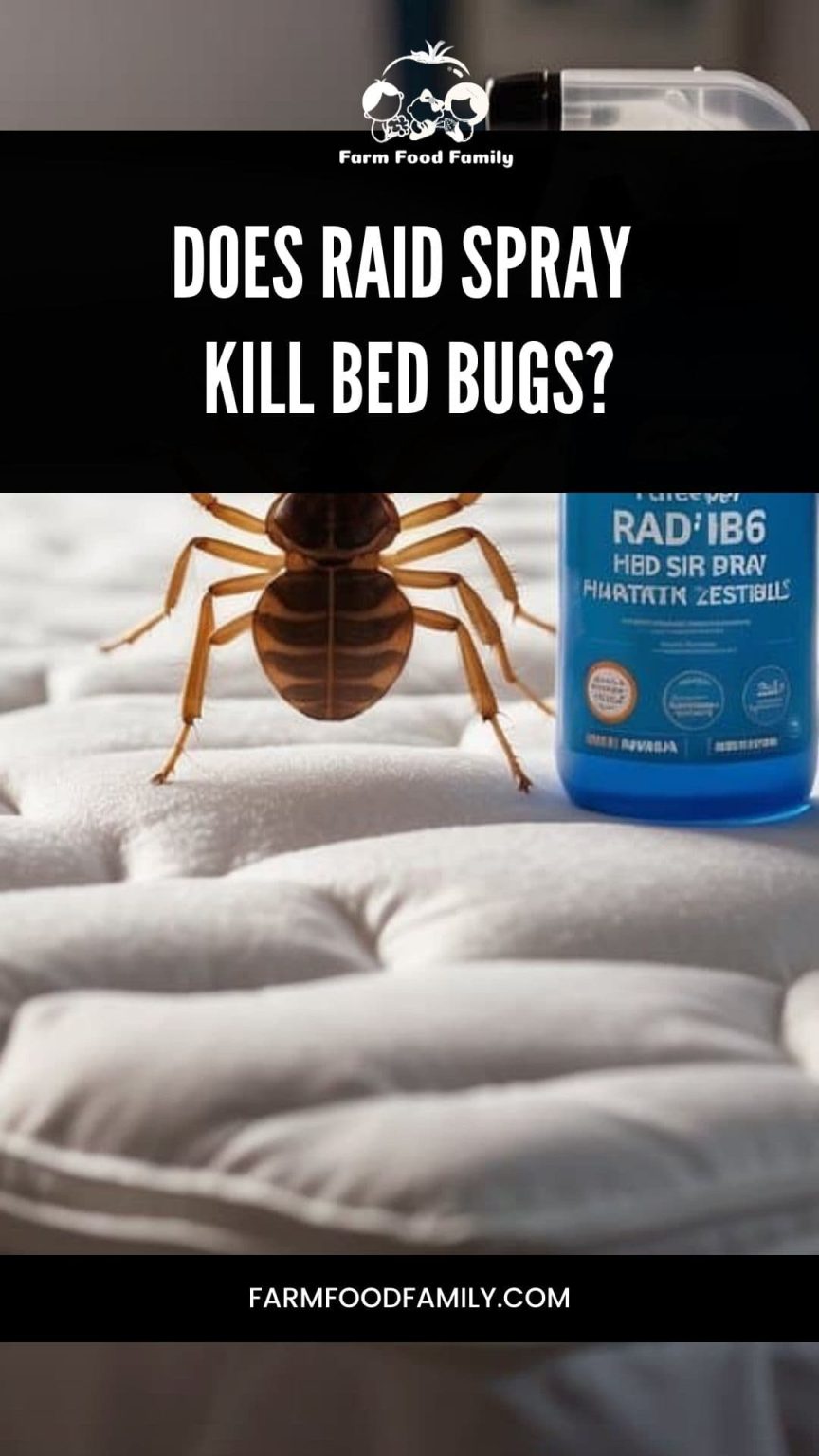 Does Raid Spray Kill Bed Bugs Efficacy and Usage Tips (2024)